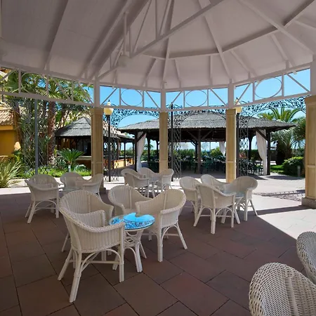 Ipv Palace & - Adults Recommended